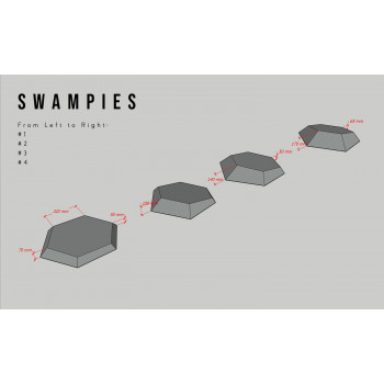 Swampies 4 (12) - Holds.fr